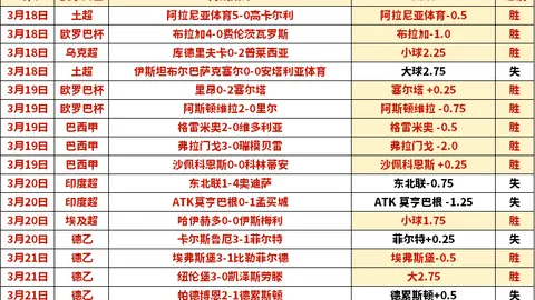 “2025赛季武汉三镇引援名单公布，韦世豪、严鼎皓领衔新赛季征程！”